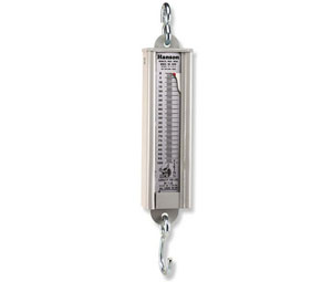 Brooks 101 Precision Hanging Scale - 100 lb x 1 lb