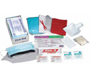 Brooks FA214P Bodily Fluid Clean Up Kit