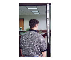 Brooks 103650BY Height Indicator