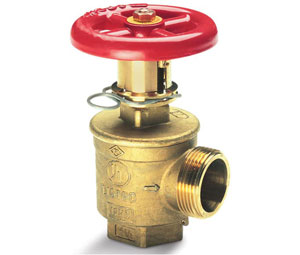 Brooks 424 PR Angle Hose Valve - 2 1/2" x 2 1/2"