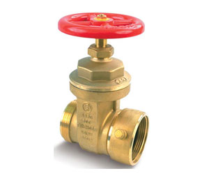 Brooks 443 Single Hydrant Gate Valve - 2 1/2" x 2 1/2"
