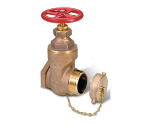 Brooks B433  Gate Hose Valve - 2 1/2" x 2 1/2", Silver (USA)