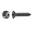 Burns SEC10-605 Spanner Head #6 x 5/8" SMS - Polished Clear Coated Brass