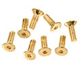 CRL ZCS5X15BR Z-Clamp Screws - Polished Brass