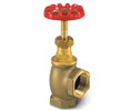 Globe SAV200 Standpipe Equipment  - 2" Brass Angle Valve