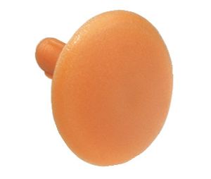 Hafele 045.01.008 Cover Cap, Press-Fit in Confirmat Head, 1/2" (12 mm) Diameter, PZ3 Cross Slot, Plastic, Pine, Box of 100 Pieces