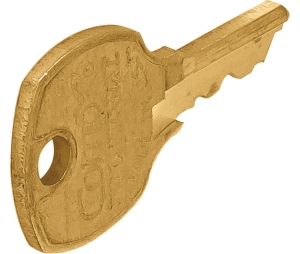 Hafele 210.02.219 Master Key, for MKKD Locks, D8799 Model, National Lock, Brass