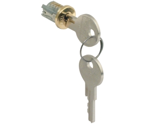 Hafele 210.04.160 Snap-In Lock Core, Keyed Alike, 105 TA Key Change, Separates the Lock Core From Cylinder Housing, Brass/Zinc, Brass Epoxy