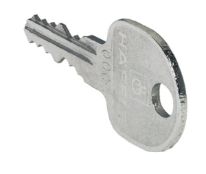 Hafele 210.11.001 Master Key, SYMO 3000, for Plate-Cylinders/Cut Key, SH 0001-0200 Key Change, Steel, MK 1 Locking Circuit, Nickel Plated