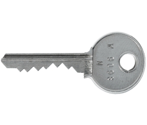 Hafele 231.53.092 Cash Box Keys, 800 Lock Core Series, Set 2, Brass, Nickel Plated