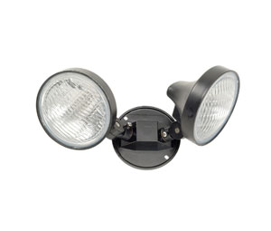 Heiser RH69D Weather-Resistant Twin Remote Heads - 6V, 9W