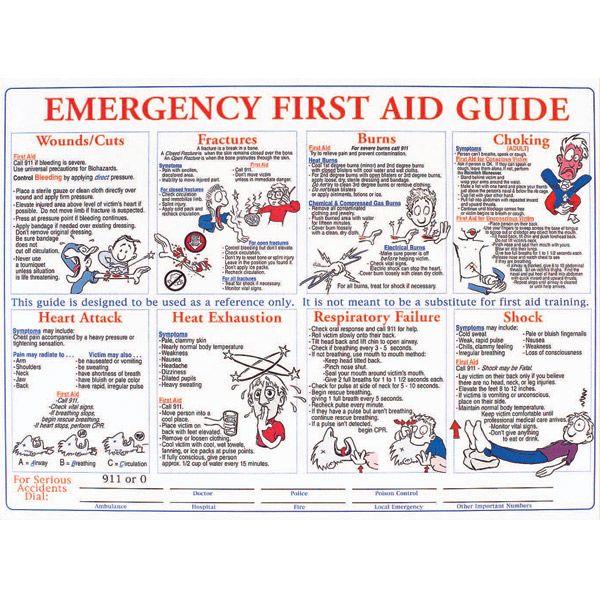 Heiser FAPOSTER First Aid Training" Safety Training Poster - Laminated, 18"L x 24"W