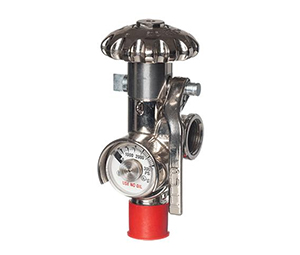 Heiser WV753 3/4" Quick Release Nitrogen Valve - 3000psi