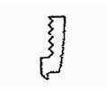 Horton C2938 Weatherstrip Extrusion-CL - sold per Foot