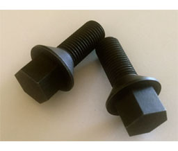 JustDoorToolZ FD200S Set of 2 - FD200 Frame Dimpler Screws 