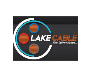 Lake Cable Cmp. S206PU-00 20-6C Str Tnc Xlpe Pu Jkt Blk 90C 1000 Ft Roll