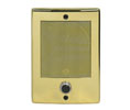 Linear BD3BN Intercom Door Station with Bell Button, Bright Brass