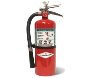 Amerex A369 9 lb. 1211 Halon