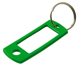 Lucky Line 16929 Key Tag with Ring, Plastic, 5 Clamshells (12/Clamshell), Assorted Colors