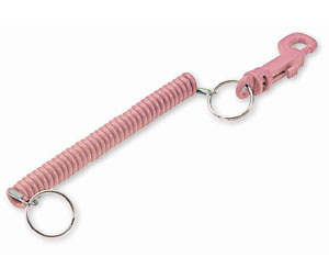 Lucky Line 41666 Designer Key Coil, 10/package, Neon Pink