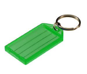 Lucky Line 6050040 Key Tag with Split Ring, Polypropylene, 100/Display Box, Green