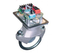 Potter VSRFE2 Vane Type Waterflow Switch with Electric Retard