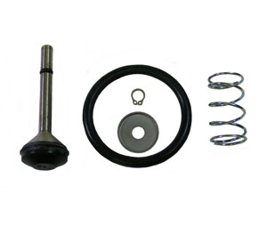 Range Guard 87-120067-001 Wet Chemical System - Cylinder Valve Rebuild Complete Kit