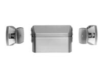 Rixson 981 Door Control