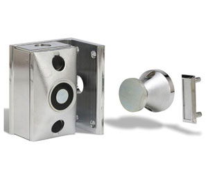 RSG DDPDH24120GC1 Electromagnetic Fire Door Holder - Ground Mount