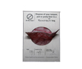 Scensibles SDSS Standard Dispenser Stainless Steel