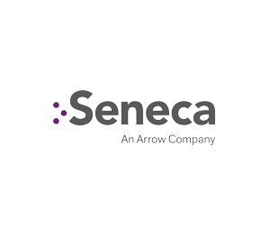 Seneca SEN-XACCESS100R22TB Rack Mount