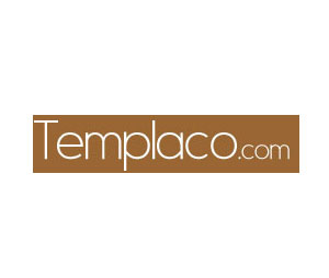 Templaco Co. 401 Tem 401 4 In Template