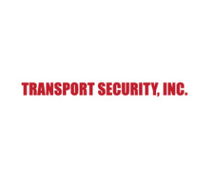 Transport Security Cmp. 1111B 1111B King Pin Lock,Best Keyway