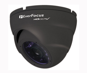 EverFocus EVE-EBH5241B 2.1MP HD CCTV Outdoor Ball Camera (Black)