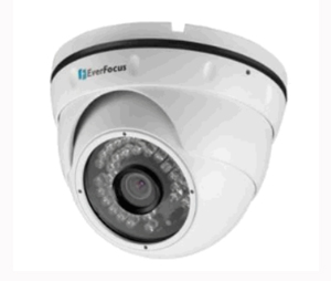 EverFocus EVE-EBN268 2MP Outdoor Ball IR & WDR Network Camera