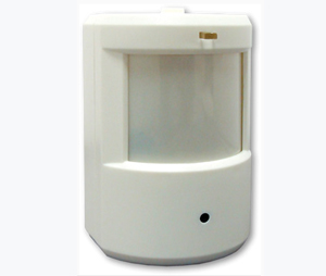 Aleph America Corporation ALP-XPH737IR 960H PIR Covert Camera