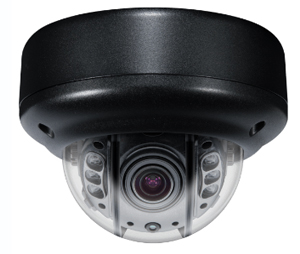 Clinton Electronics CLI-CEVX30B Vandal X True Day/Night IR Dome Camera + Heaters