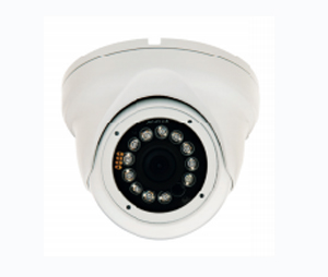 Digital Watchdog DWD-DWCBL352IRW 1/3" CCD Value Line Ball Camera