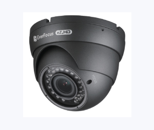 EverFocus EVE-EBD935 720p Analog HD True Day/Night Outdoor IR Ball Camera