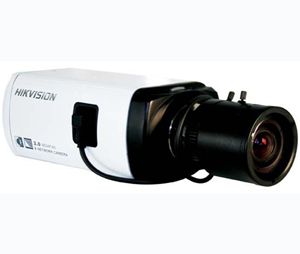 Hikvision HIK-DS2CD893NFE 1/3" CCD-based Network Camera