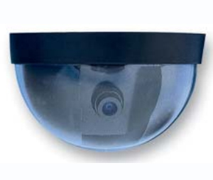 Speco Technologies SPT-CVC645DC Color Dome Camera with Acrylic Chrome Coating and Lined Housing