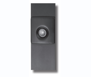 ATV ATV-CM728PB High Resolution Covert  “Mullion" Camera