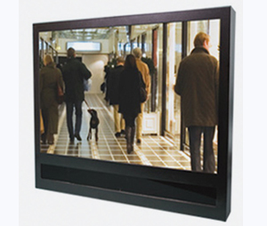 Clinton Electronics CLI-CE20PVMDVR 20" Public View with Built-In 4-Channel Cricket