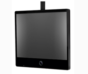 Clinton Electronics CLI-CEM19SB 19" Public View Monitor with Integrated 600 TVL Camera