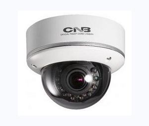 CNB CNB-LCM24VFH2G High-Resolution Outdoor IR Vandal Dome with Heater