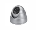 Golden State Instrument GSI-GSSLVR303 Color Infrared "Ball/Glove" Camera