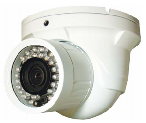 IC Realtime ICR-EL790IR Day/Night Weather-proof IR Dome Camera