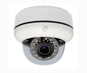 American Dynamics AMD-ADCI600D111 Mini-Dome Indoor Camera