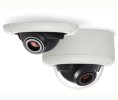 Arecont Vision ARC-AV2246PMDLG Megaball Indoor Dome Camera