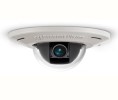 Arecont Vision ARC-AV5455DNF 5MP Micro-Dome Camera
